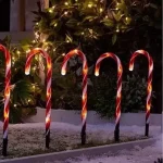 Bastones de Caramelo Solar